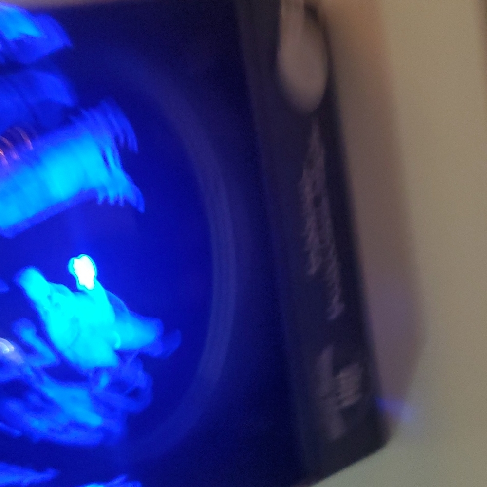 Haunted Mansion Projection Light - Picture 5 of 5